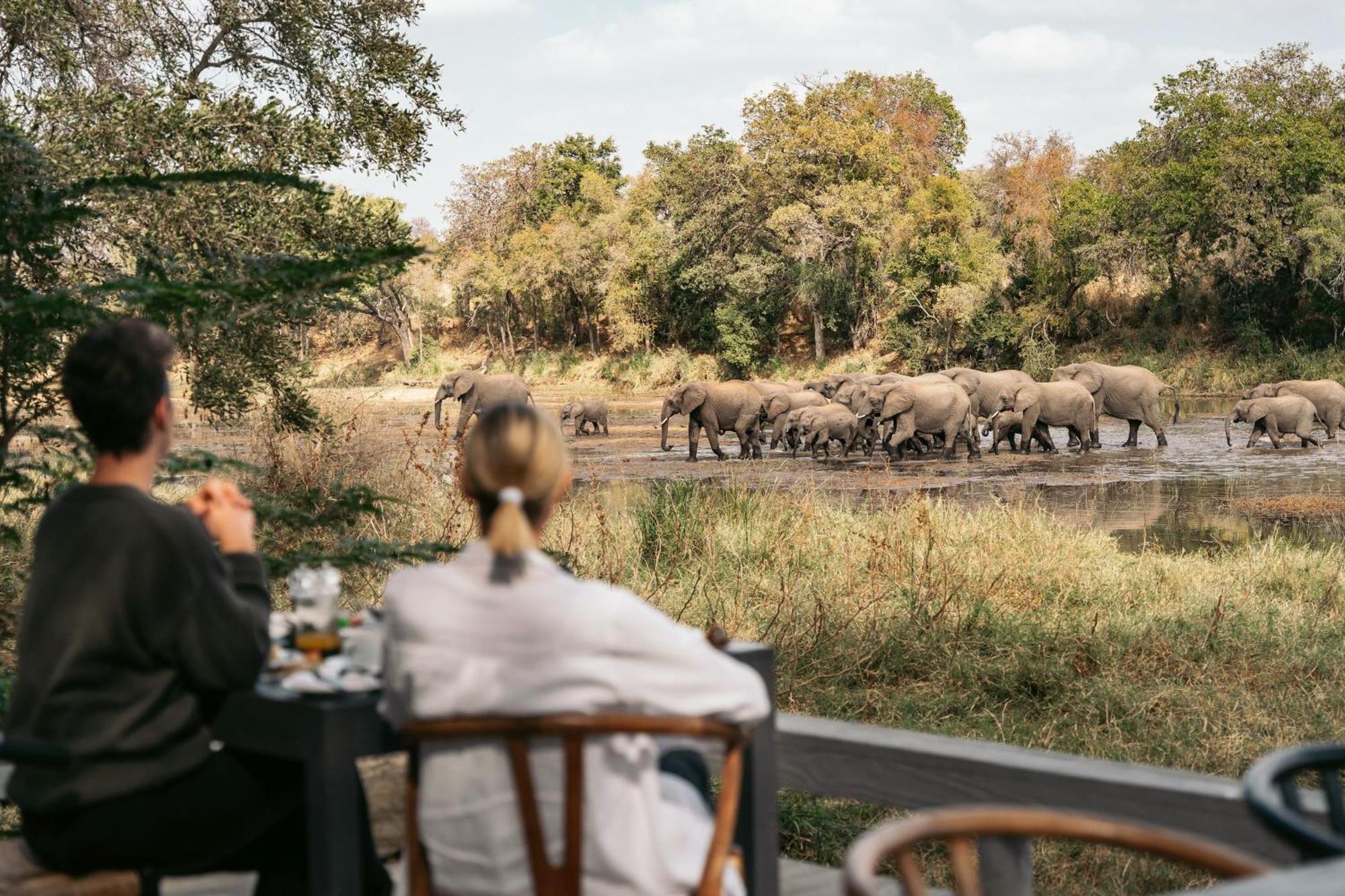 Simbavati River Lodge Timbavati Game Reserve Extérieur photo