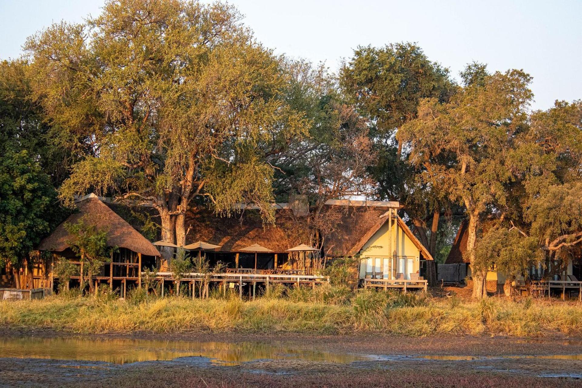 Simbavati River Lodge Timbavati Game Reserve Extérieur photo