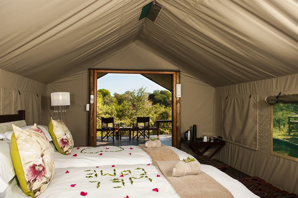 Simbavati River Lodge Timbavati Game Reserve Extérieur photo