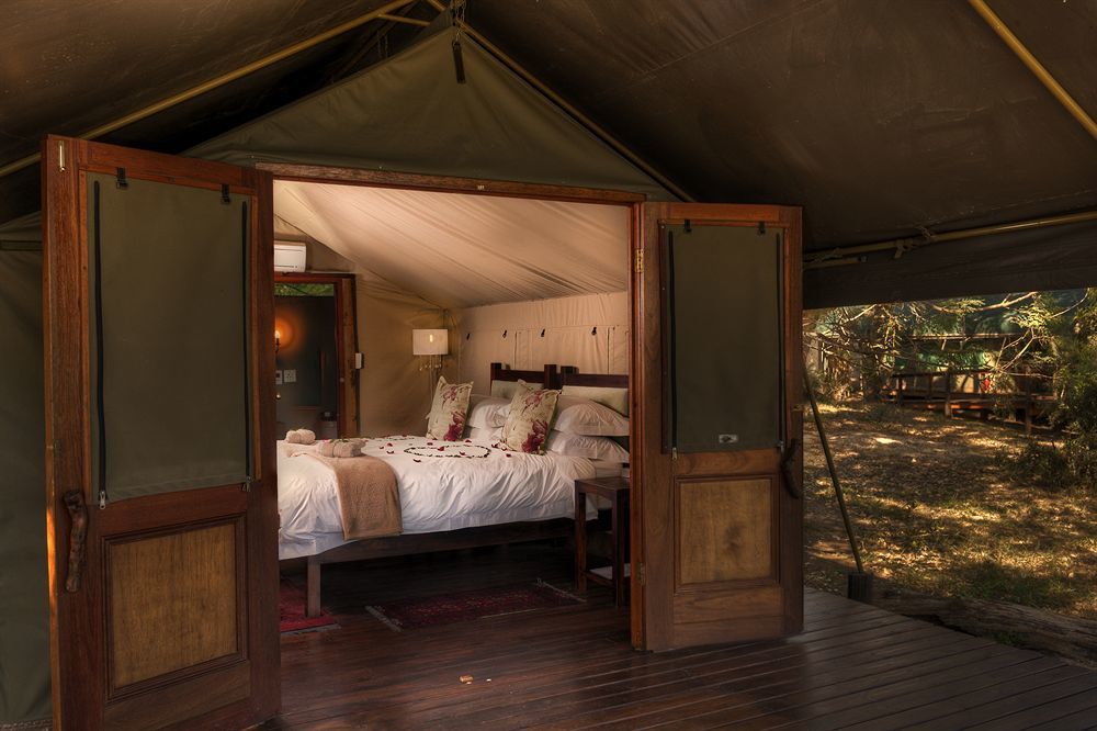 Simbavati River Lodge Timbavati Game Reserve Extérieur photo